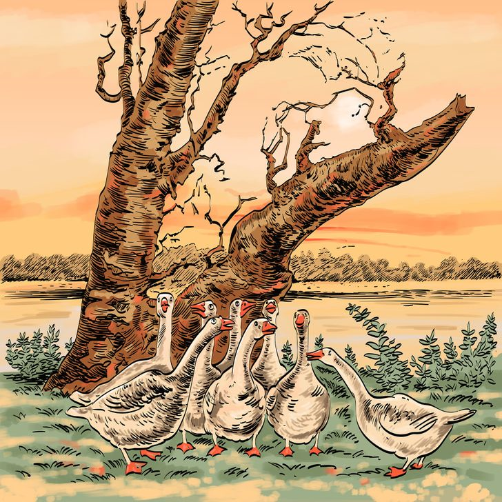featured image to increase road safety or reduce road danger showing a group of geese standing around a tree